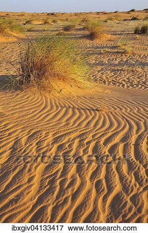 Sand ridges in the Sahara desert between Nouadhibou and Atar, Dakhlet Nouadhibou region, Mauritania, Africa View Large Photo Image Stock Photo - Sand ridges in the Sahara desert between Nouadhibou and Atar, Dakhlet Nouadhibou region, Mauritania, Africa. Fotosearch