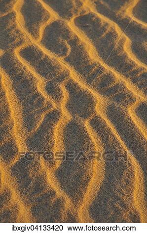 Sand waves, sand structure, evening light, Dakhlet Nouadhibou region, Mauritania, Africa View Large Photo Image Stock Image - Sand waves, sand structure, evening light, Dakhlet Nouadhibou region, Mauritania, Africa. Fotosearch