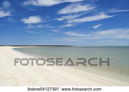 Stock Photo - Sandy beach, Shell Beach, Shark Bay, Western Australia, Australia, Oceania. Fotosearch