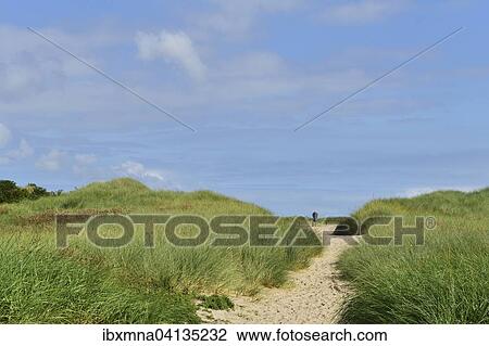 Sandy path through grassy dunes on the eastern tip of the island of Norderney, East Frisia, Lower Saxony, Germany, Europe View Large Photo Image Stock Image - Sandy path through grassy dunes on the eastern tip of the island of Norderney, East Frisia, Lower Saxony, Germany, Europe. Fotosearch