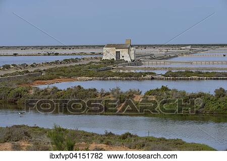Stock Image - Ses Salines saltworks, near Sant Francesc d'Estany, Ibiza, Balearic Islands, Spain, Europe. Fotosearch