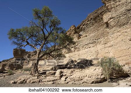 Sesriem Canyon, Namib Naukluft Park, Namibia, Africa View Large Photo Image Stock Image - Sesriem Canyon, Namib Naukluft Park, Namibia, Africa. Fotosearch