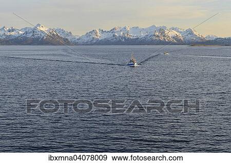 Ship in the Sortlandsund, behind snow-capped mountain peaks, Sortlandsund, Nordland, Vesteralen, Norway, Europe View Large Photo Image Stock Photo - Ship in the Sortlandsund, behind snow-capped mountain peaks, Sortlandsund, Nordland, Vesteralen, Norway, Europe. Fotosearch