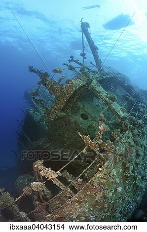 Shipwreck of Gianis D. Red Sea, Sharm El Sheikh, Egypt, Africa View Large Photo Image Picture - Shipwreck of Gianis D. Red Sea, Sharm El Sheikh, Egypt, Africa. Fotosearch