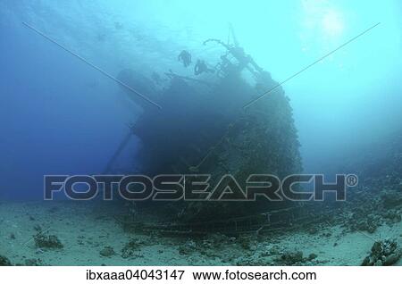 Shipwreck of Gianis D. Red Sea, Sharm El Sheikh, Egypt, Africa View Large Photo Image Stock Photo - Shipwreck of Gianis D. Red Sea, Sharm El Sheikh, Egypt, Africa. Fotosearch