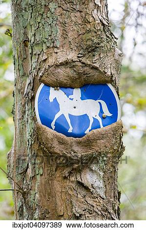 Sign bridleway grown in to tree, Essen, North Rhine-Westphalia, Germany, Europe View Large Photo Image Stock Photo - Sign bridleway grown in to tree, Essen, North Rhine-Westphalia, Germany, Europe. Fotosearch
