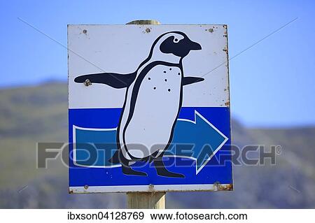 Stock Photo - Signpost with penguin, Betty's Bay, Western Cape, South Africa, Africa. Fotosearch