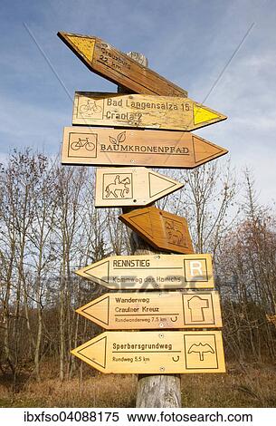 Signposts, Hainich National Park, Thuringia, Germany, Europe View Large Photo Image Stock Photography - Signposts, Hainich National Park, Thuringia, Germany, Europe. Fotosearch