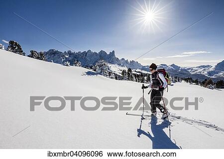 Ski touring, during the ascent of Mt Cima Bocche on Passo Valles, at the back the Pala Group and Mt Passo Rolle, Parco Naturale Paneveggio, Pale di San Marino, Dolomites, Trentino, Italy, Europe View Large Photo Image Stock Photograph - Ski touring, during the ascent of Mt Cima Bocche on Passo Valles, at the back the Pala Group and Mt Passo Rolle, Parco Naturale Paneveggio, Pale di San Marino, Dolomites, Trentino, Italy, Europe. Fotosearch