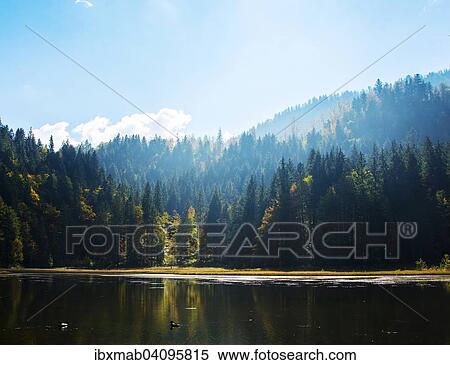 Small lake with autumn forest, near Enterrottach, Rottach valley, Bavaria, Germany, Europe View Large Photo Image Stock Photography - Small lake with autumn forest, near Enterrottach, Rottach valley, Bavaria, Germany, Europe. Fotosearch