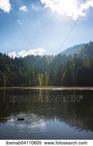 Small lake with autumn forest, near Enterrottach, Rottach valley, Bavaria, Germany, Europe View Large Photo Image Stock Photography - Small lake with autumn forest, near Enterrottach, Rottach valley, Bavaria, Germany, Europe. Fotosearch