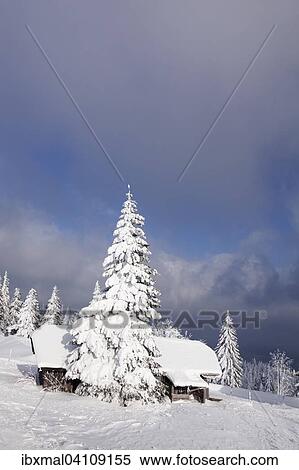 Snow-covered cabin on Kandel mountain, Black Forest, Baden-Wurttemberg, Germany, Europe View Large Photo Image Stock Photography - Snow-covered cabin on Kandel mountain, Black Forest, Baden-Wurttemberg, Germany, Europe. Fotosearch
