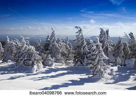 Snow-covered trees on Mt Brocken, Harz, Saxony-Anhalt, Germany, Europe View Large Photo Image Stock Photograph - Snow-covered trees on Mt Brocken, Harz, Saxony-Anhalt, Germany, Europe. Fotosearch
