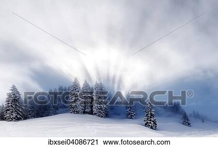 Snow-covered winter forest, with backlight, Ofterschwang, Oberallgau district, Bavaria, Germany, Europe View Large Photo Image Stock Image - Snow-covered winter forest, with backlight, Ofterschwang, Oberallgau district, Bavaria, Germany, Europe. Fotosearch