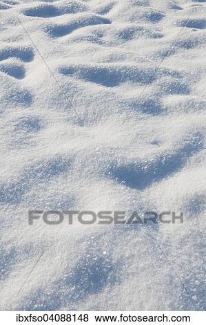 Stock Photo - Snow in a meadow. Fotosearch