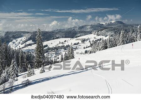 Snowy winter landscape, Todtnauberg, Black Forest, Baden-Wurttemberg, Germany, Europe View Large Photo Image Stock Image - Snowy winter landscape, Todtnauberg, Black Forest, Baden-Wurttemberg, Germany, Europe. Fotosearch