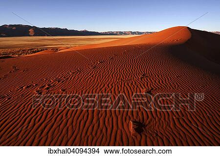 Southern foothills of the Namib desert, sand dunes, structures, behind the Tiras Mountains, evening light, Namibia, Africa View Large Photo Image Picture - Southern foothills of the Namib desert, sand dunes, structures, behind the Tiras Mountains, evening light, Namibia, Africa. Fotosearch