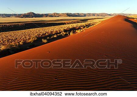 Southern foothills of the Namib desert, sand dunes, behind the Tiras Mountains, evening light, Namibia, Africa View Large Photo Image Stock Image - Southern foothills of the Namib desert, sand dunes, behind the Tiras Mountains, evening light, Namibia, Africa. Fotosearch