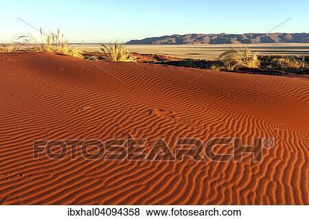 Southern foothills of the Namib desert, sand duneswith tufts of grass, behind the Tiras Mountains, morning light, Namibia, Africa View Large Photo Image Stock Photo - Southern foothills of the Namib desert, sand duneswith tufts of grass, behind the Tiras Mountains, morning light, Namibia, Africa. Fotosearch