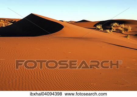 Southern foothills of the Namib desert, sand dunes with tufts of grass, evening light, Namibia, Africa View Large Photo Image Stock Photo - Southern foothills of the Namib desert, sand dunes with tufts of grass, evening light, Namibia, Africa. Fotosearch