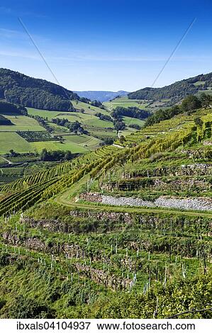 Spitzer Graben, Spitz, Wachau, Waldviertel, Lower Austria, Austria, Europe View Large Photo Image Stock Photo - Spitzer Graben, Spitz, Wachau, Waldviertel, Lower Austria, Austria, Europe. Fotosearch