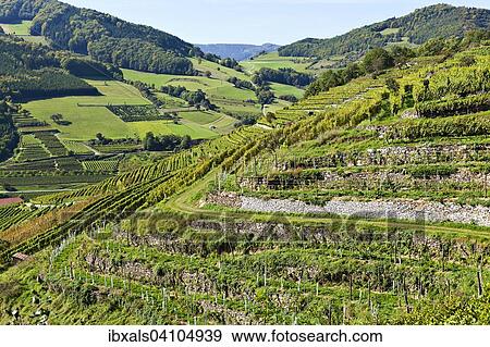 Spitzer Graben, Spitz, Wachau, Waldviertel, Lower Austria, Austria, Europe View Large Photo Image Stock Photo - Spitzer Graben, Spitz, Wachau, Waldviertel, Lower Austria, Austria, Europe. Fotosearch