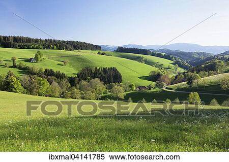 Spring in Glottertal, Black Forest, Baden-Wuerttemberg, Germany, Europe View Large Photo Image Stock Photography - Spring in Glottertal, Black Forest, Baden-Wuerttemberg, Germany, Europe. Fotosearch