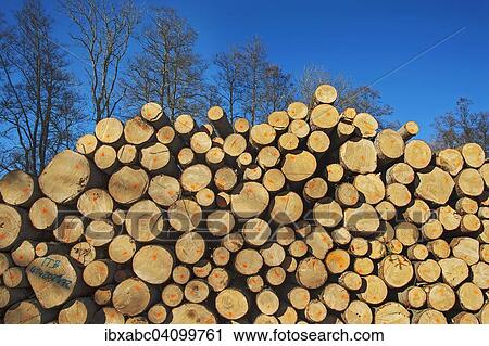 Stock Image - Stacked logs, Bavaria, Germany, Europe. Fotosearch
