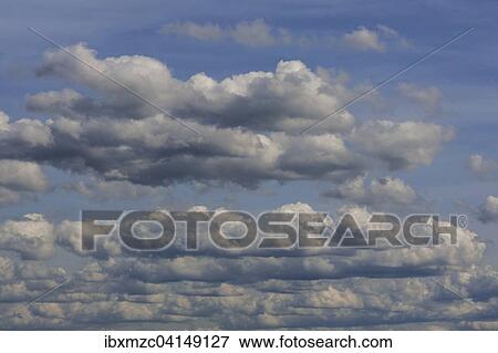 Staggered cumulus clouds, cumulus View Large Photo Image Stock Photo - Staggered cumulus clouds, cumulus. Fotosearch