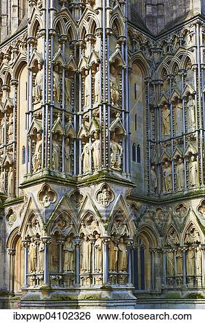Statues on the facade of the medieval Wells Cathedral built in the Early English Gothic style in 1175, Wells, Somerset, England, United Kingdom, Europe View Large Photo Image Stock Photograph - Statues on the facade of the medieval Wells Cathedral built in the Early English Gothic style in 1175, Wells, Somerset, England, United Kingdom, Europe. Fotosearch