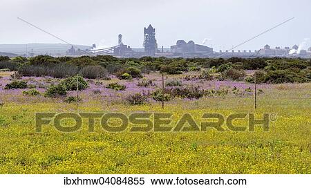 Steelworks, Saldanha Steel, Saldanha, Western Cape, South Africa, Africa View Large Photo Image Stock Photography - Steelworks, Saldanha Steel, Saldanha, Western Cape, South Africa, Africa. Fotosearch
