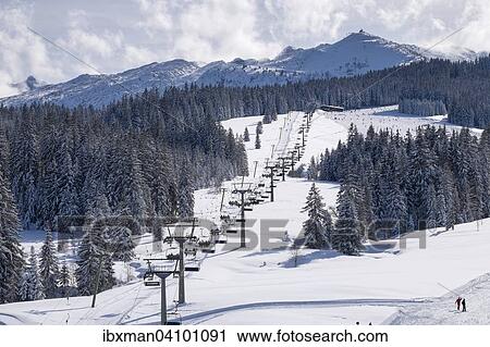Steinplatte mountain and Rossalmbahn chairlift, Winklmoosalm, Reit im Winkl, Chiemgau Alps, Upper Bavaria, Bavaria, Germany, Europe View Large Photo Image Stock Image - Steinplatte mountain and Rossalmbahn chairlift, Winklmoosalm, Reit im Winkl, Chiemgau Alps, Upper Bavaria, Bavaria, Germany, Europe. Fotosearch