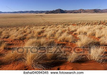 Steppe landscape in the southern foothills of the Namib Desert, behind the Tiras Mountains, Namibia, Africa View Large Photo Image Stock Photography - Steppe landscape in the southern foothills of the Namib Desert, behind the Tiras Mountains, Namibia, Africa. Fotosearch