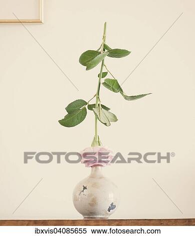 Still life with rose on ceramic vase View Large Photo Image Stock Photography - Still life with rose on ceramic vase. Fotosearch