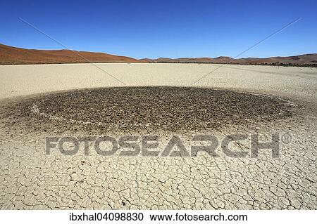 Stock Image - Stone circle, Hidden Vlei, salt and clay pan, Namib Desert, Namib Naukluft Park, Namibia, Africa. Fotosearch