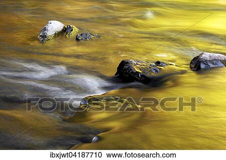 Stones in the riverbed, Wutachschlucht gorge, Black Forest, Baden-Wurttemberg, Germany, Europe View Large Photo Image Stock Image - Stones in the riverbed, Wutachschlucht gorge, Black Forest, Baden-Wurttemberg, Germany, Europe. Fotosearch