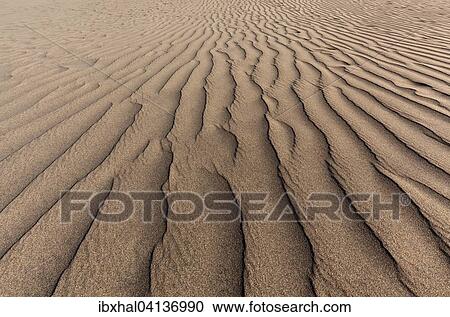 Structures in the sand, dunes of Maspalomas, Nature Reserve, Gran Canaria, Canary Islands, Spain, Europe View Large Photo Image Stock Image - Structures in the sand, dunes of Maspalomas, Nature Reserve, Gran Canaria, Canary Islands, Spain, Europe. Fotosearch