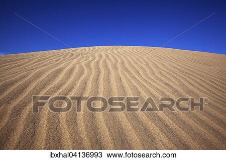 Structures in the sand, dunes of Maspalomas, Nature Reserve, Gran Canaria, Canary Islands, Spain, Europe View Large Photo Image Stock Image - Structures in the sand, dunes of Maspalomas, Nature Reserve, Gran Canaria, Canary Islands, Spain, Europe. Fotosearch