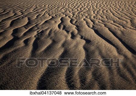 Structures in the sand, dunes of Maspalomas, Nature Reserve, Gran Canaria, Canary Islands, Spain, Europe View Large Photo Image Stock Photo - Structures in the sand, dunes of Maspalomas, Nature Reserve, Gran Canaria, Canary Islands, Spain, Europe. Fotosearch