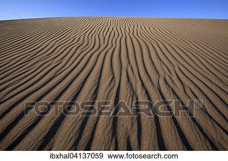 Structures in the sand, dunes of Maspalomas, Nature Reserve, Gran Canaria, Canary Islands, Spain, Europe View Large Photo Image Stock Photo - Structures in the sand, dunes of Maspalomas, Nature Reserve, Gran Canaria, Canary Islands, Spain, Europe. Fotosearch