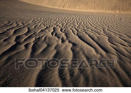 Structures in the sand, dunes of Maspalomas, Nature Reserve, Gran Canaria, Canary Islands, Spain, Europe View Large Photo Image Stock Photography - Structures in the sand, dunes of Maspalomas, Nature Reserve, Gran Canaria, Canary Islands, Spain, Europe. Fotosearch