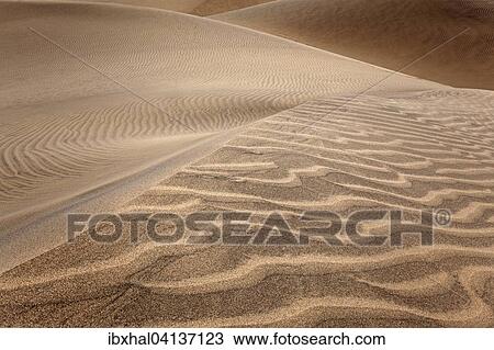 Structures in the sand, dunes, sand dunes of Maspalomas, Nature Reserve, Gran Canaria, Canary Islands, Spain, Europe View Large Photo Image Stock Image - Structures in the sand, dunes, sand dunes of Maspalomas, Nature Reserve, Gran Canaria, Canary Islands, Spain, Europe. Fotosearch