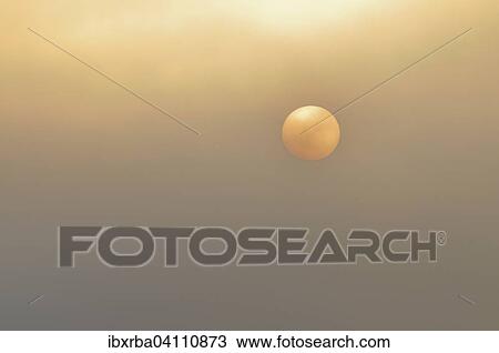 Sun at sunrise with fog, Muritz National Park, Mecklenburg-Western Pomerania, Germany, Europe View Large Photo Image Stock Image - Sun at sunrise with fog, Muritz National Park, Mecklenburg-Western Pomerania, Germany, Europe. Fotosearch