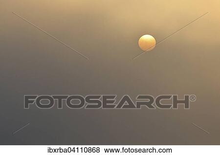 Sun at sunrise with fog, Muritz National Park, Mecklenburg-Western Pomerania, Germany, Europe View Large Photo Image Stock Photo - Sun at sunrise with fog, Muritz National Park, Mecklenburg-Western Pomerania, Germany, Europe. Fotosearch