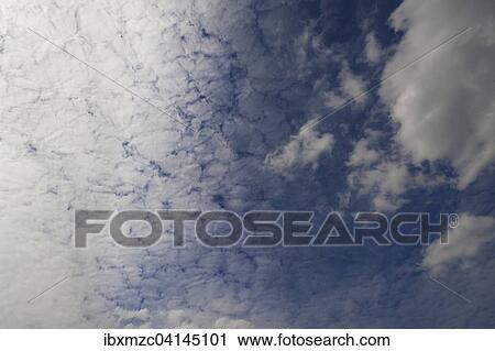 Sun hidden by large fleecy clouds (Altocumulus) View Large Photo Image Stock Image - Sun hidden by large fleecy clouds (Altocumulus). Fotosearch