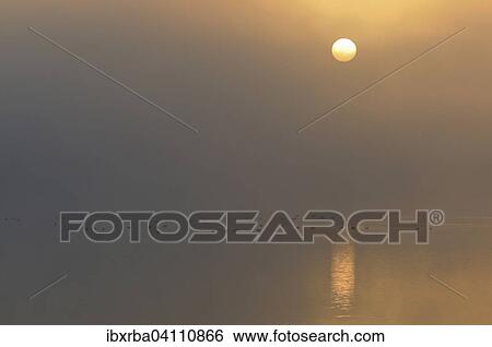 Sunrise above a lake with resting birds in the fog, Muritz National Park, Mecklenburg-Western Pomerania, Germany, Europe View Large Photo Image Stock Photograph - Sunrise above a lake with resting birds in the fog, Muritz National Park, Mecklenburg-Western Pomerania, Germany, Europe. Fotosearch