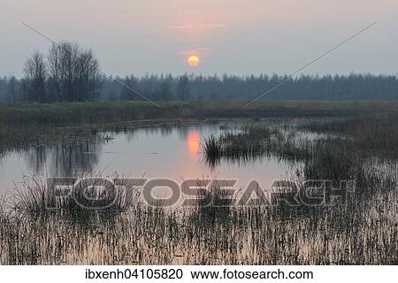 Sunset in the re-waterlogging area, Haren, Emsland, Lower Saxony, Germany, Europe View Large Photo Image Stock Image - Sunset in the re-waterlogging area, Haren, Emsland, Lower Saxony, Germany, Europe. Fotosearch