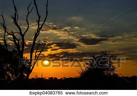 Stock Photography - Sunset, Kruger National Park, South Africa, Africa. Fotosearch