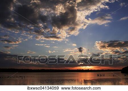 Sunset, Sanibel island, Florida, USA View Large Photo Image Stock Photo - Sunset, Sanibel island, Florida, USA. Fotosearch