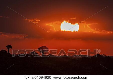 Sunset, silhouette of quiver trees, Garas Park, near Keetmanshoop, Namibia, Africa View Large Photo Image Stock Image - Sunset, silhouette of quiver trees, Garas Park, near Keetmanshoop, Namibia, Africa. Fotosearch